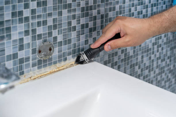 Best Home Mold Removal  in Kamas, UT