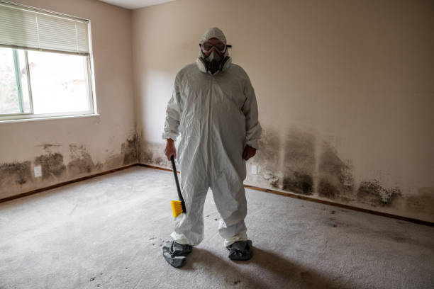 Best Mold Testing  in Kamas, UT